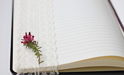 Empty lined paper page with flower and lace