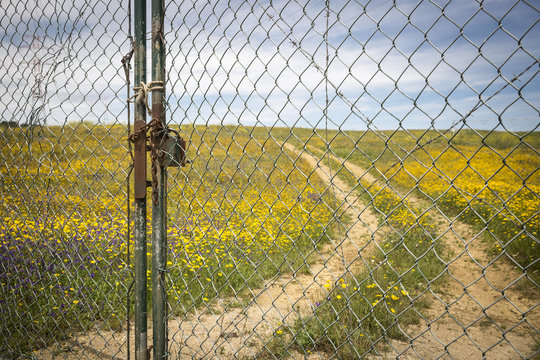fence with a lock to protect a rural path on a spring day 