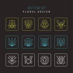 Vector Set of Thin Line Floral Design Elements for Logos