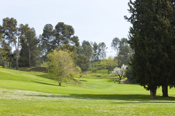 Fototapeta na wymiar Golf course in spring