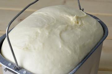 Fresh dough in the bread machine