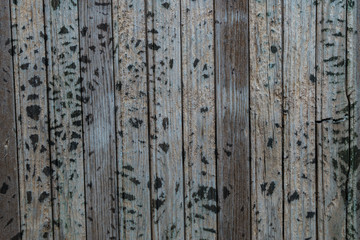 grunge wood panels can use for background