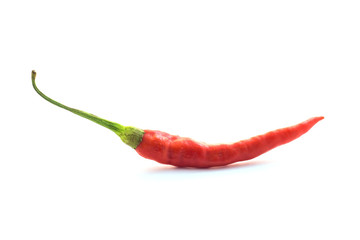 red chilli on white background