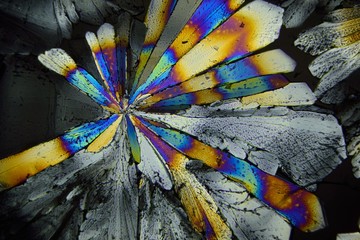 Zuckerkristall - Mikroskopaufnahme Vergrößerung  200x