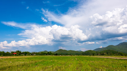 Fototapeta na wymiar field and blue sky with light clouds
