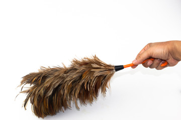 Hand holding Feather broom isolated