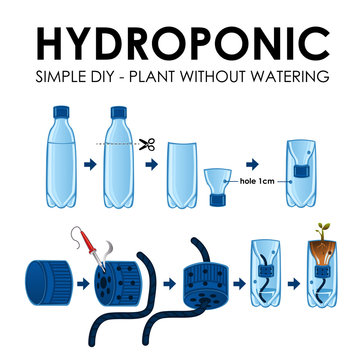 Diagram of a hydroponics setup