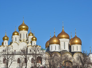 Fototapeta na wymiar Domes of the Kremlin churches.