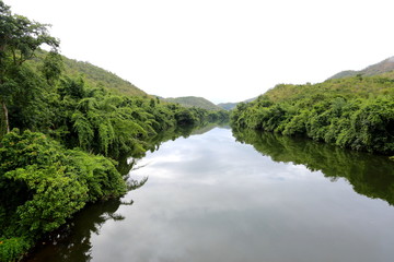 River and Forest