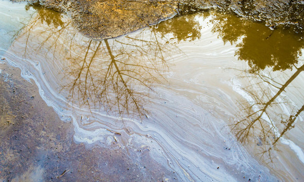 Oil Spill In Puddle With Tree Reflection