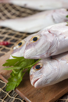 Fish