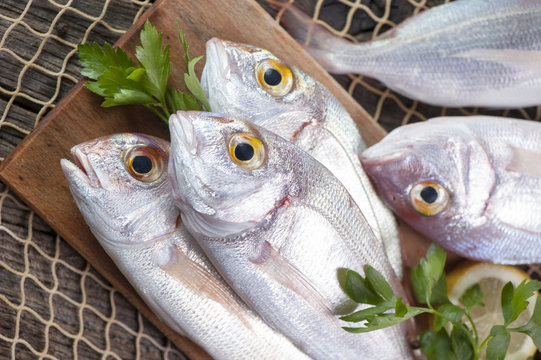 Fish Market