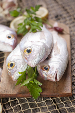 Fish market