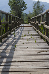 Obraz premium wooden bridge on the lake