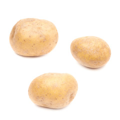 Brown potato isolated