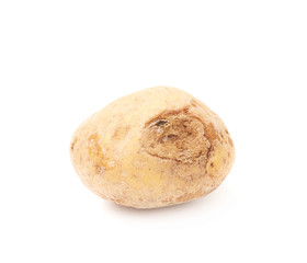 Fototapeta na wymiar Spoiled brown potato isolated