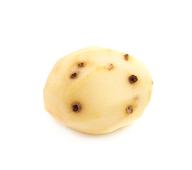 Peeled clean potato isolated