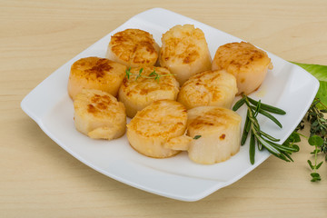 Grilled scallops