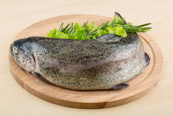 Raw fresh trout