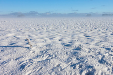 Fototapeta na wymiar Winter foggy landscape
