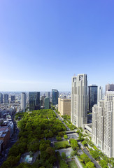 Fototapeta premium 東京都庁と新宿高層ビル群 快晴青空 新緑