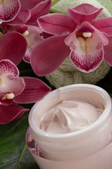 Face Cream and Pink Orchid