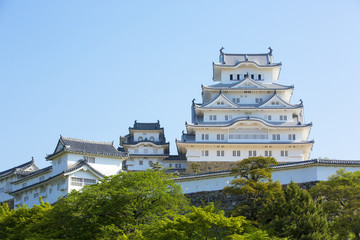 修理完成後の新緑姫路城