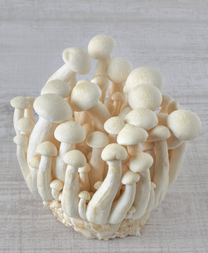Closeup of white shimeji mushrooms on wooden table