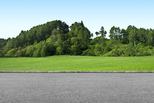 Roadside and grass