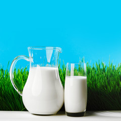 Milk jug and glass on grass field
