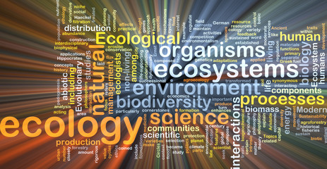 ecology wordcloud concept illustration glowing