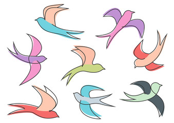 Fototapeta premium Graceful colorful flying swallow birds