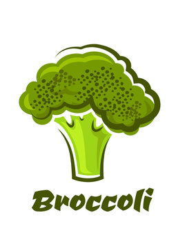 Cartoon fresh green healthy broccoli vegetable