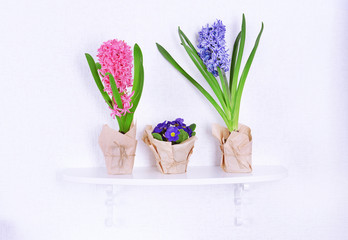 Flower on shelf on white wall background