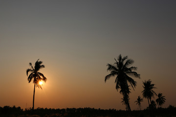 Obraz premium before the sundown