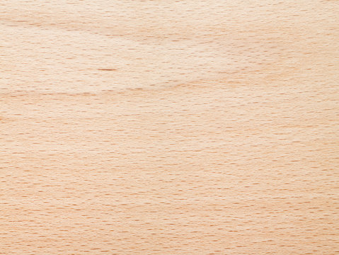 Beech wood texture background, Close-up.