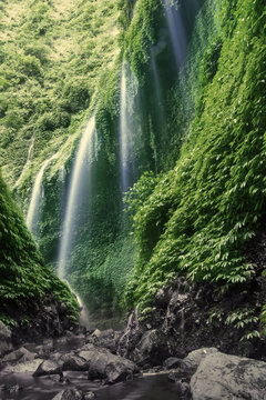 Fototapeta Waterfall in the forest
