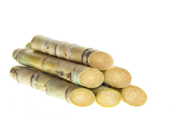 Sugarcane isolated on white background