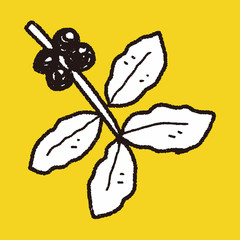 coffee bean fruit doodle