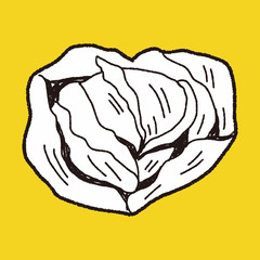Cabbage doodle