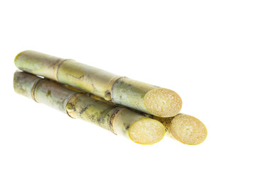 Sugarcane isolated on white background
