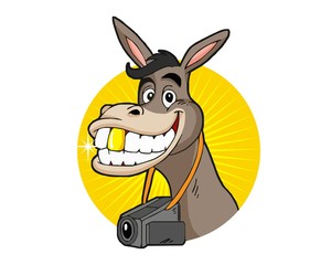 donkey video logo image vector