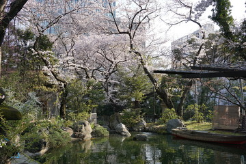庭園