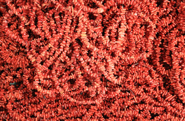 fabrication de colliers de corail rouge