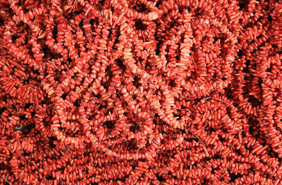 fabrication de colliers de corail rouge