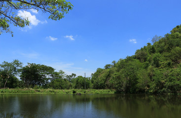 let swim in the summer