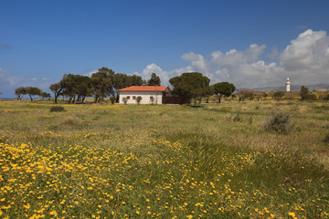Fototapeta na wymiar Country landscape in Cyprus in the spring. horizontal 