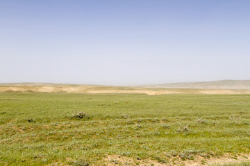 Obraz premium steppe