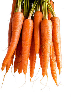 Bunch of Carrots with Leaves