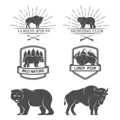 Bison and bear. Posters, labels, emblem.